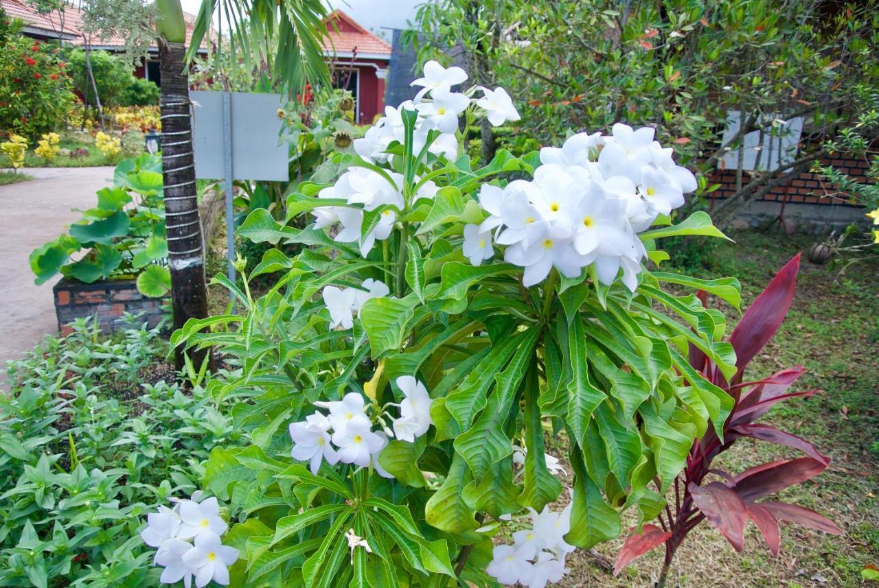 Phoumrumduol Bungalow Kampot Exterior foto
