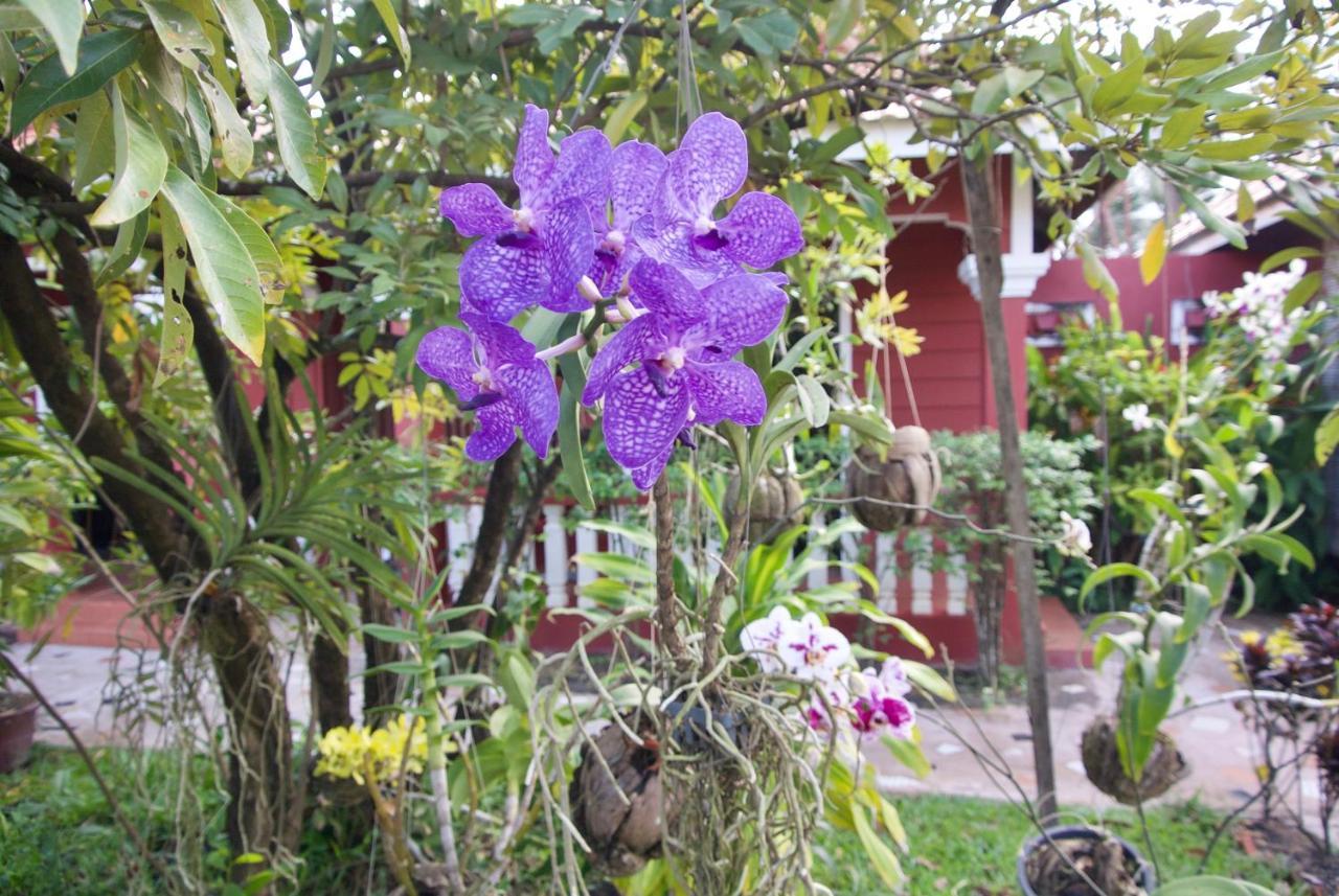 Phoumrumduol Bungalow Kampot Exterior foto